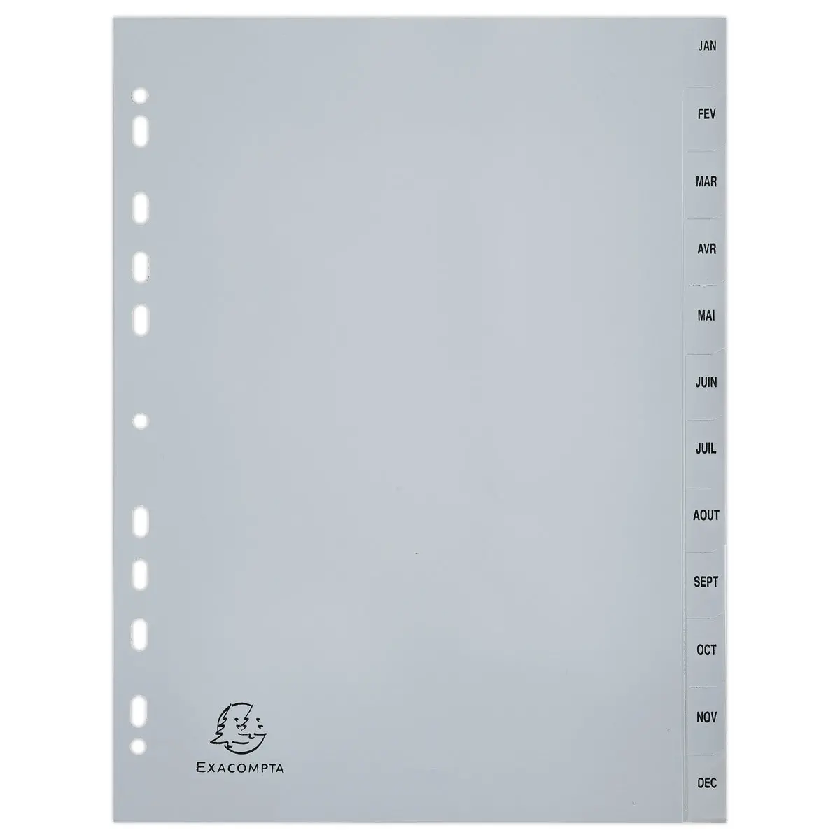 Jeu d'intercalaires mensuels FOREVER A4 - 12 touches - EXACOMPTA photo du produit