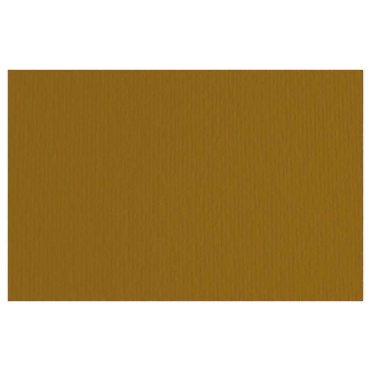 20 Feuilles de dessin "ELLE ERRE" 50x70 cm - 220gr photo du produit