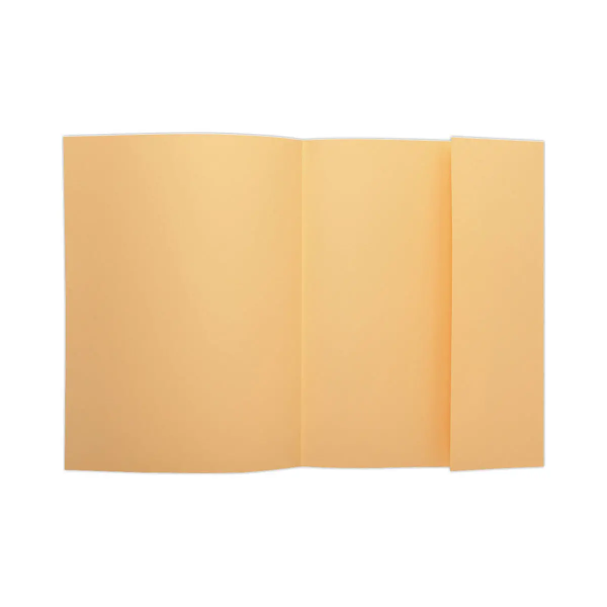 100 Chemises 1 rabat 160 g carte qualité supérieure PEFC - couleurs pastel photo du produit