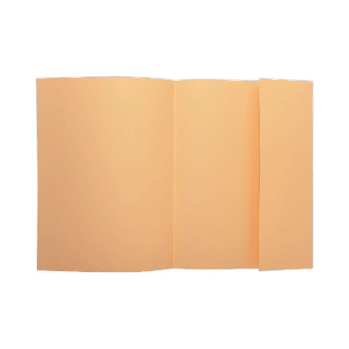 100 Chemises 1 rabat 160 g carte qualit&eacute; sup&eacute;rieure PEFC - couleurs pastel photo du produit