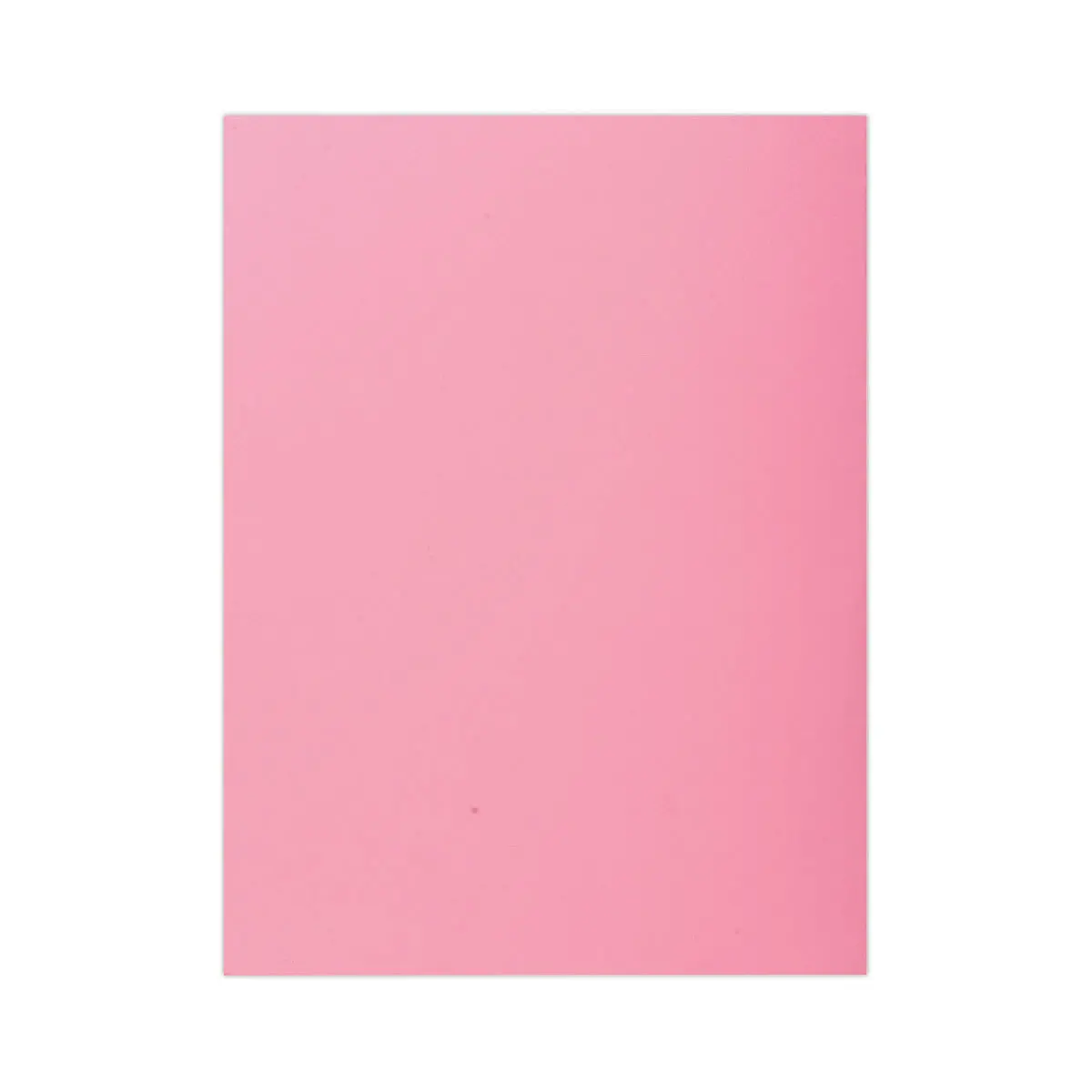 Lot de 100 Chemises 1 rabat 160 g carte qualité supérieure PEFC - couleurs pastel rose photo du produit