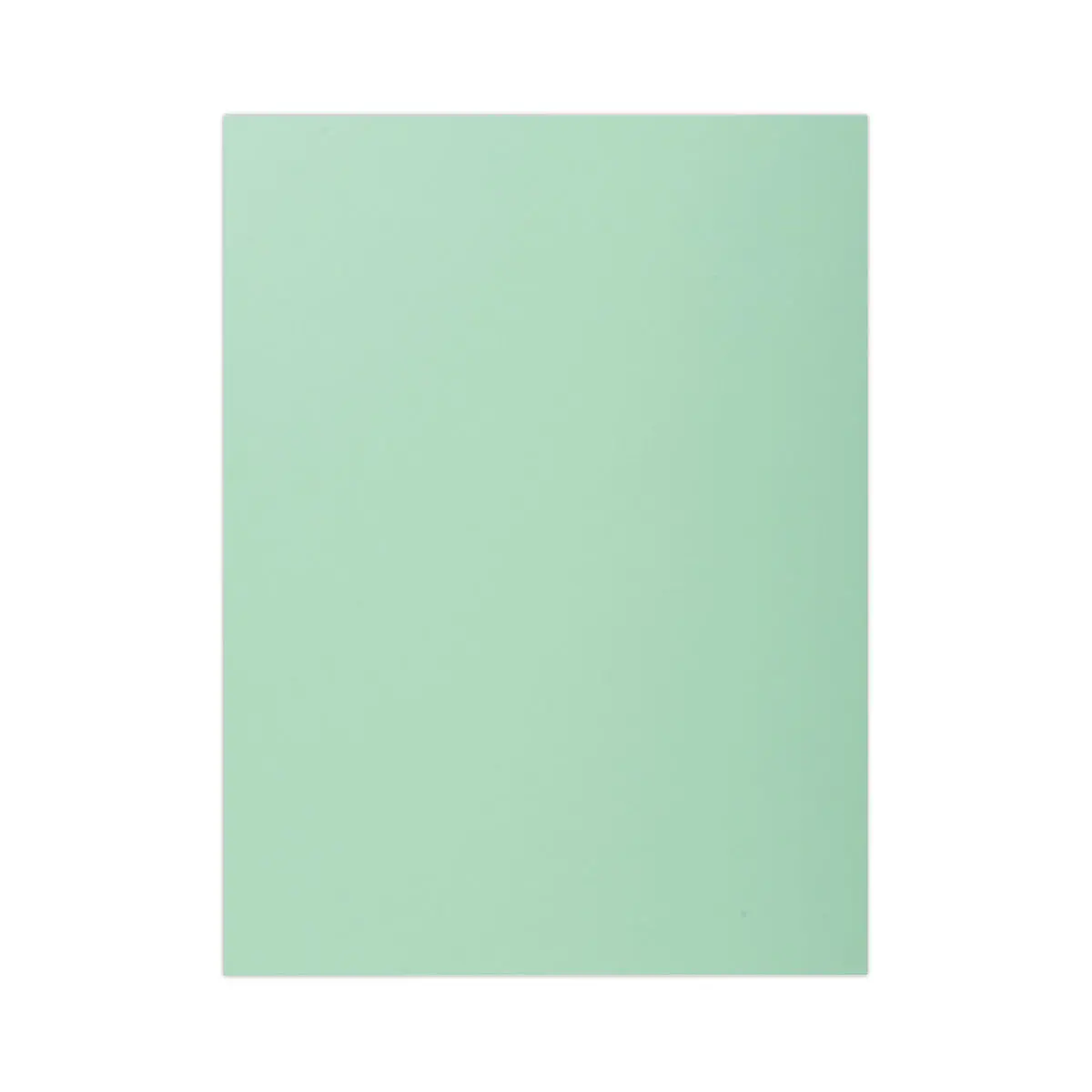 100 Chemises 1 rabat 160 g carte qualit&eacute; sup&eacute;rieure PEFC - couleurs pastel photo du produit