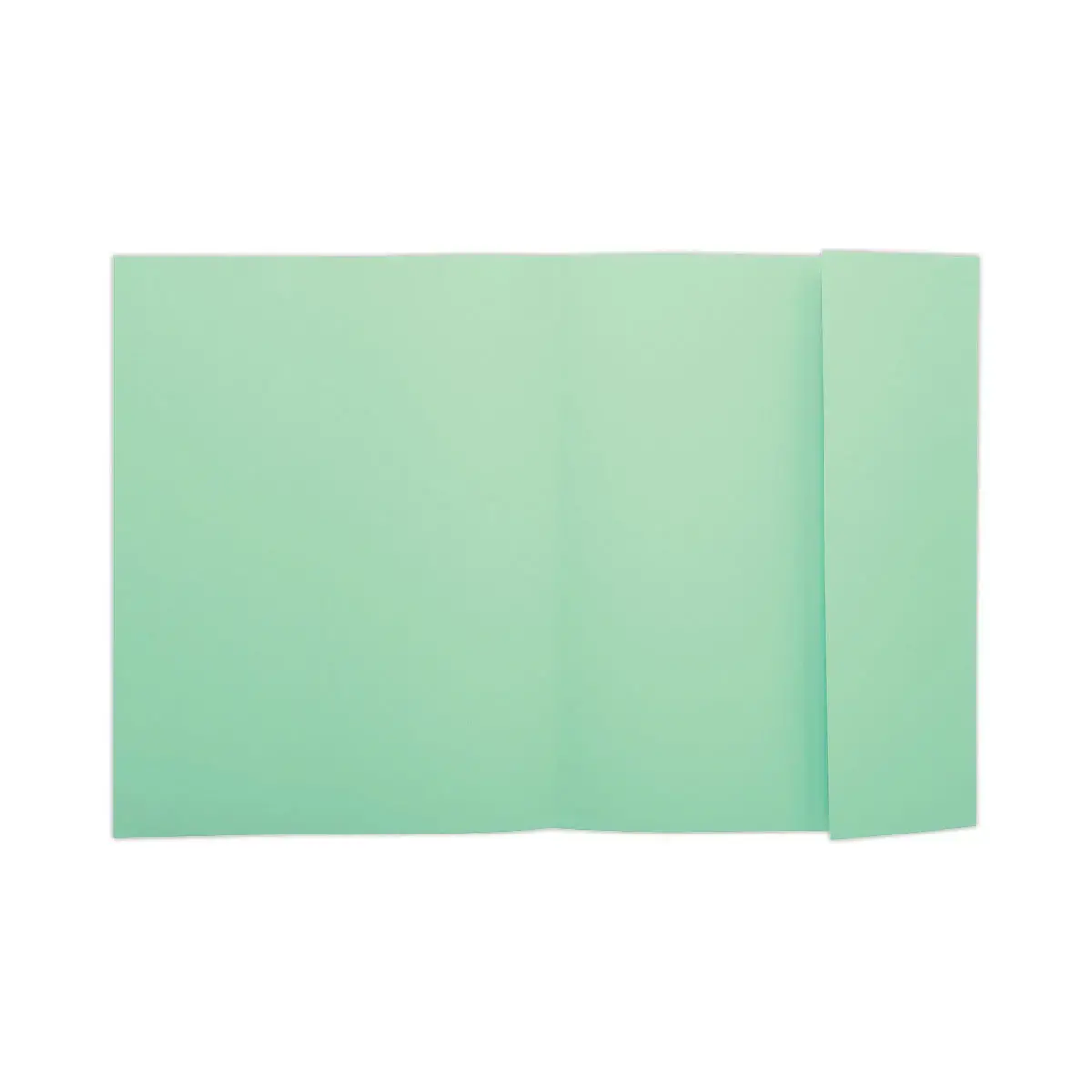 100 Chemises 1 rabat 160 g carte qualit&eacute; sup&eacute;rieure PEFC - couleurs pastel photo du produit