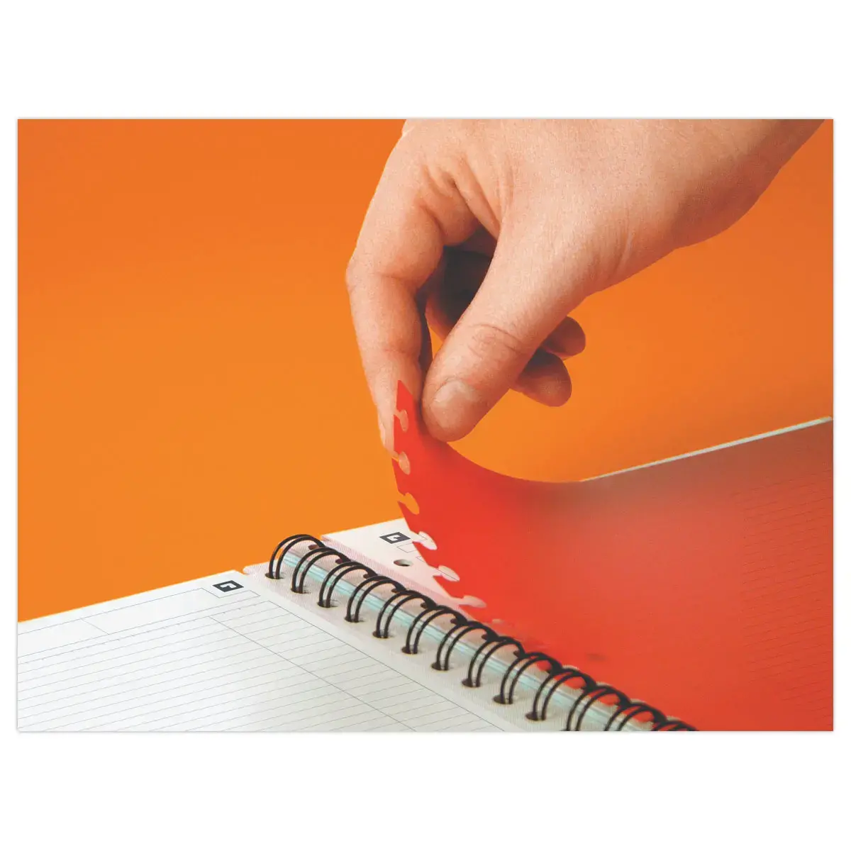 Cahier A4+ activebook International - Oxford photo du produit