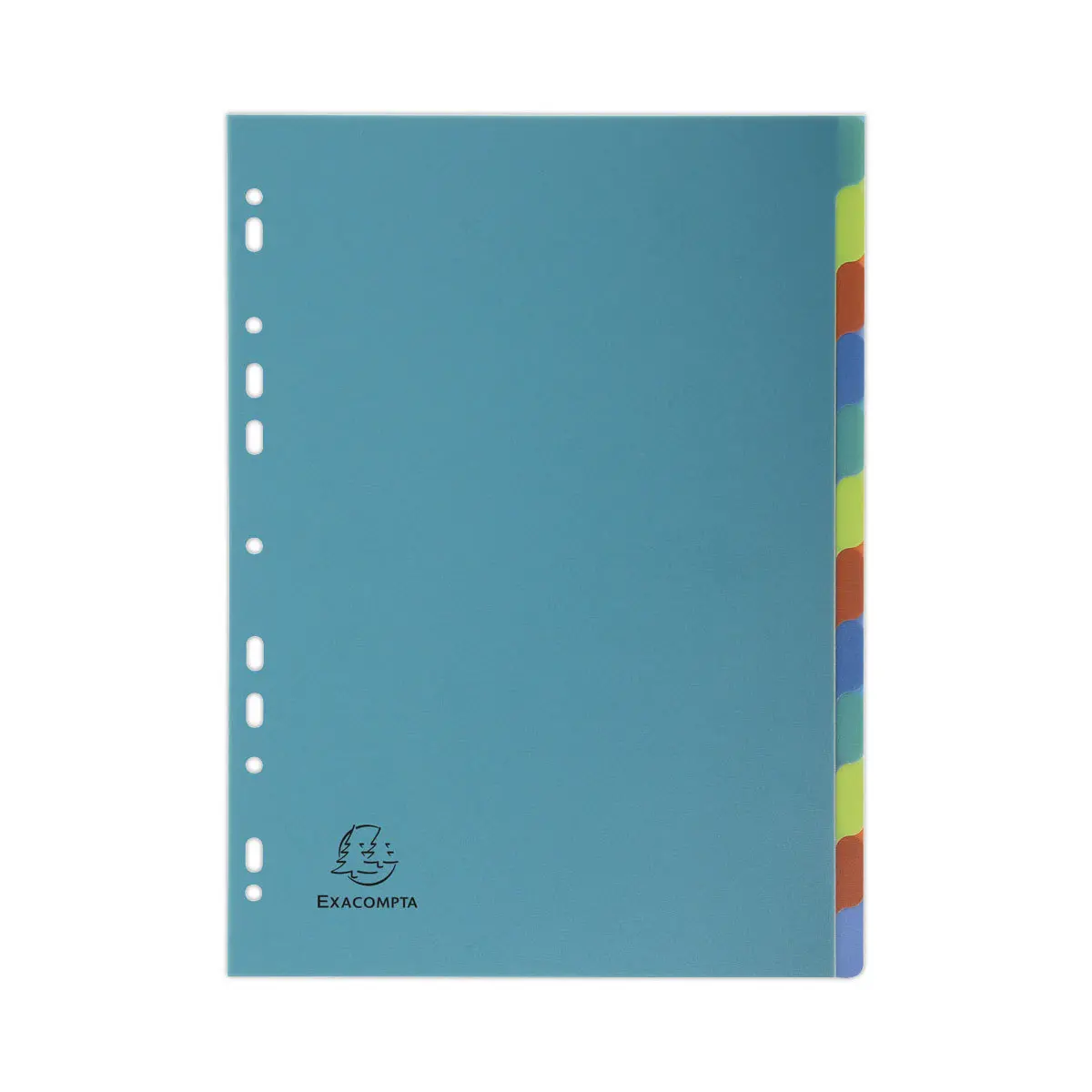 Jeu d'intercalaires Forever PP recyclé pour format A4 - 12 touches - EXACOMPTA photo du produit