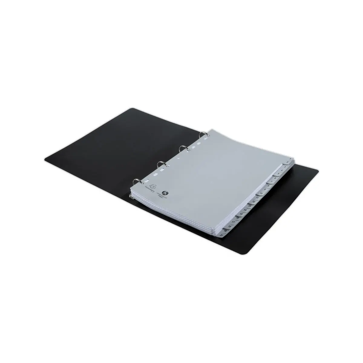 Jeu d'intercalaires imprimés numériques PP gris recyclé -10 positions photo du produit