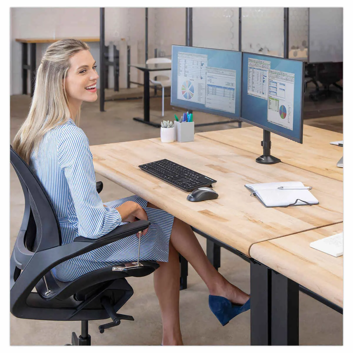 Bras porte-écrans double Reflex - FELLOWES photo du produit