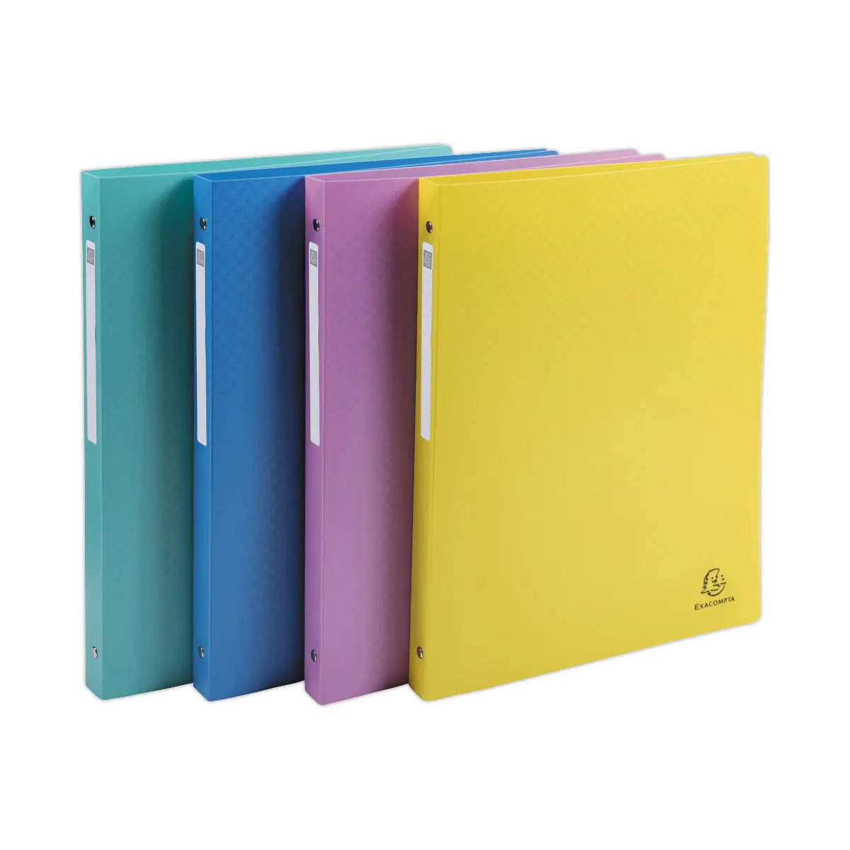 Classeur Forever Young - 4 anneaux - 15mm PP A4 - souple - EXACOMPTA photo du produit