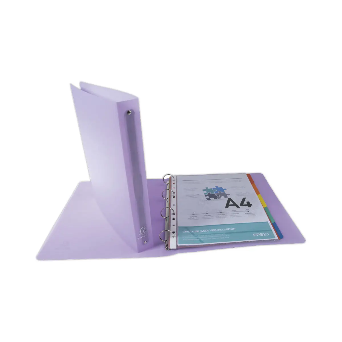 Classeur polypropylène Chromaline pastel A4 maxi - 4 anneaux - EXACOMPTA photo du produit