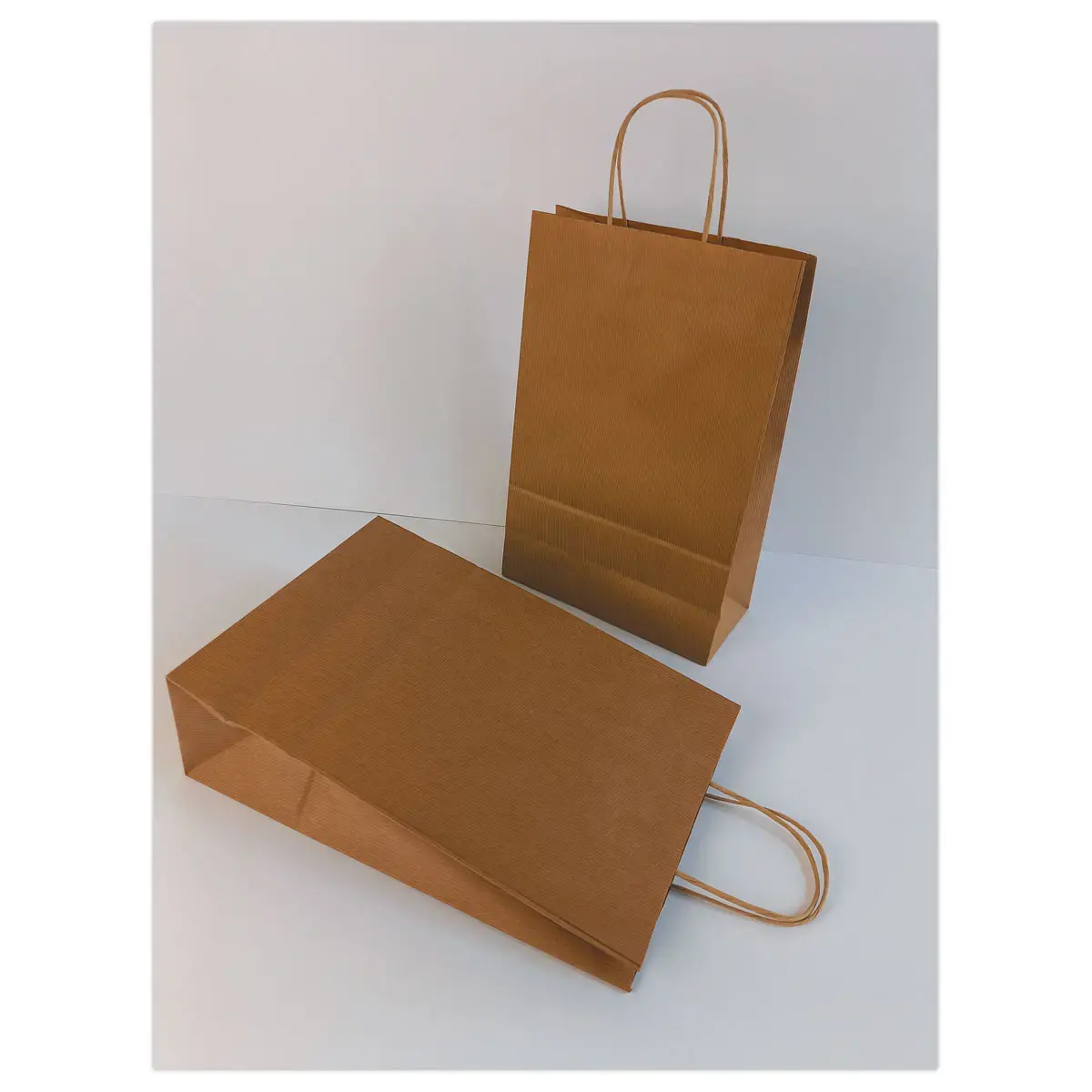 200 Sac poign&eacute;es torsad&eacute;es format Moyen : 22 x 33 x 10 cm- Naturel photo du produit