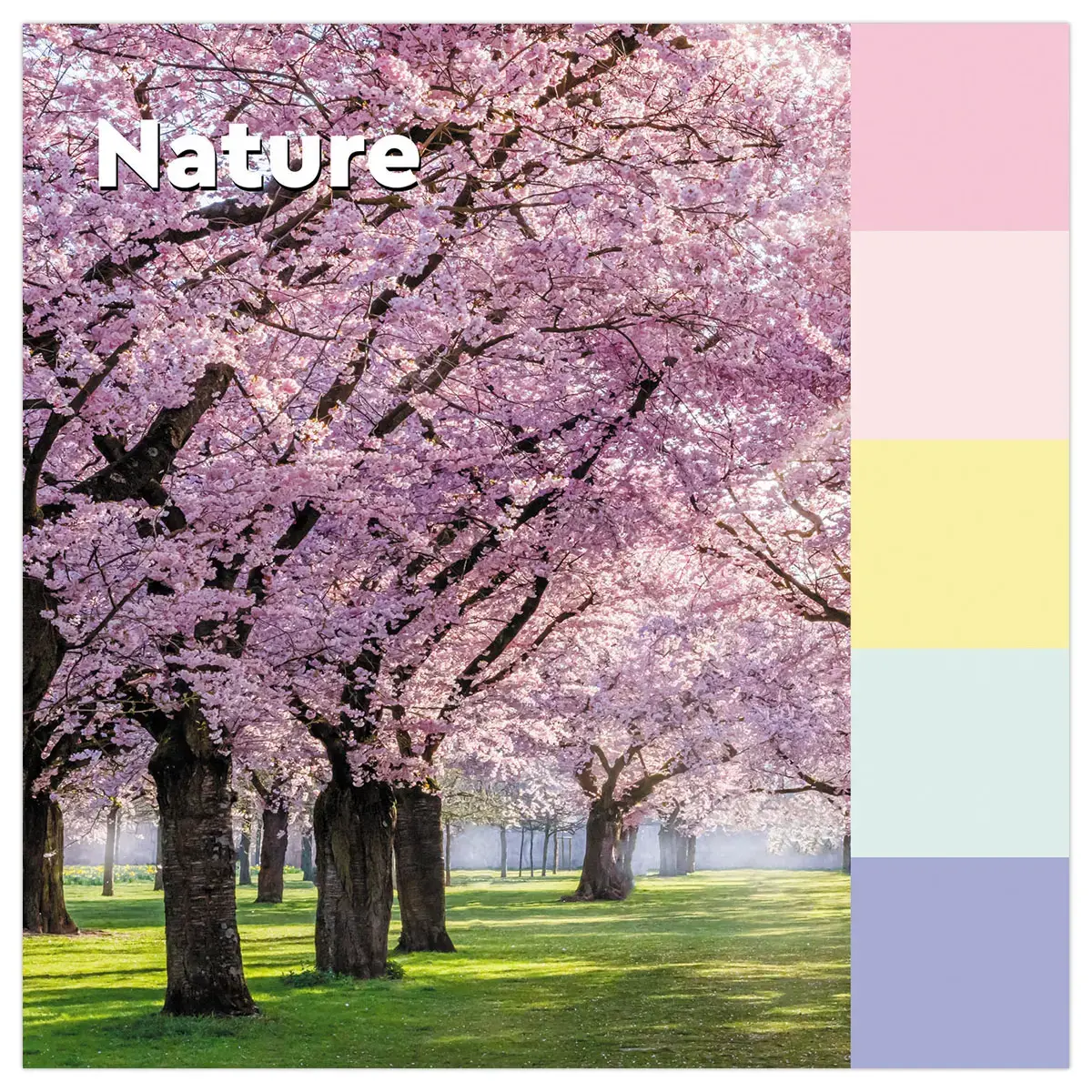 16 Notes Recycl&eacute;es Collection Nature, 76 x 127 mm photo du produit