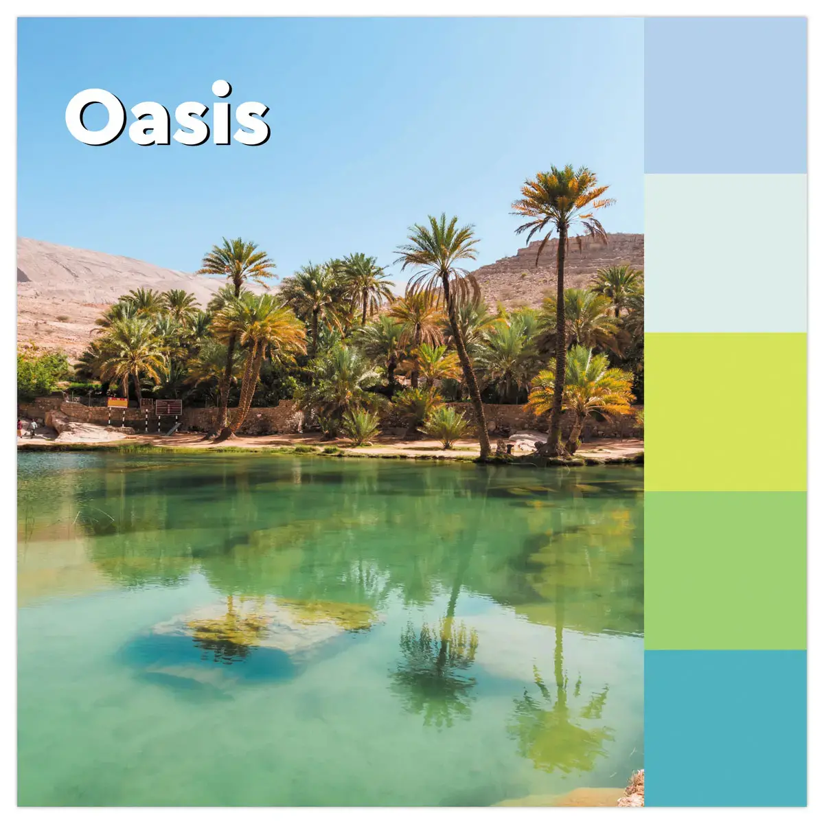 5 Notes Super Sticky Collection Oasis, 76 x 127 mm photo du produit