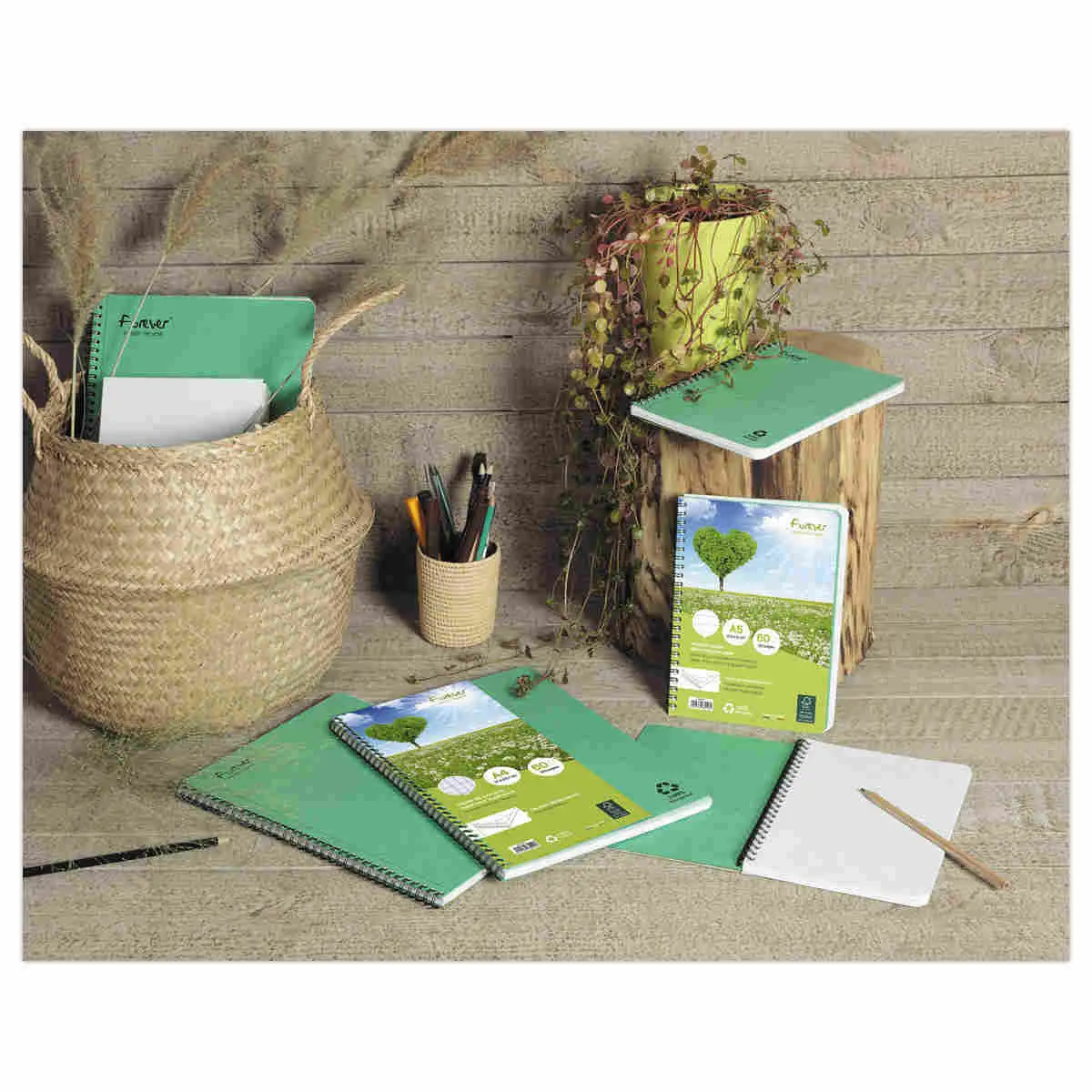 Cahier recyclé à spirales pages A5 5x5. photo du produit