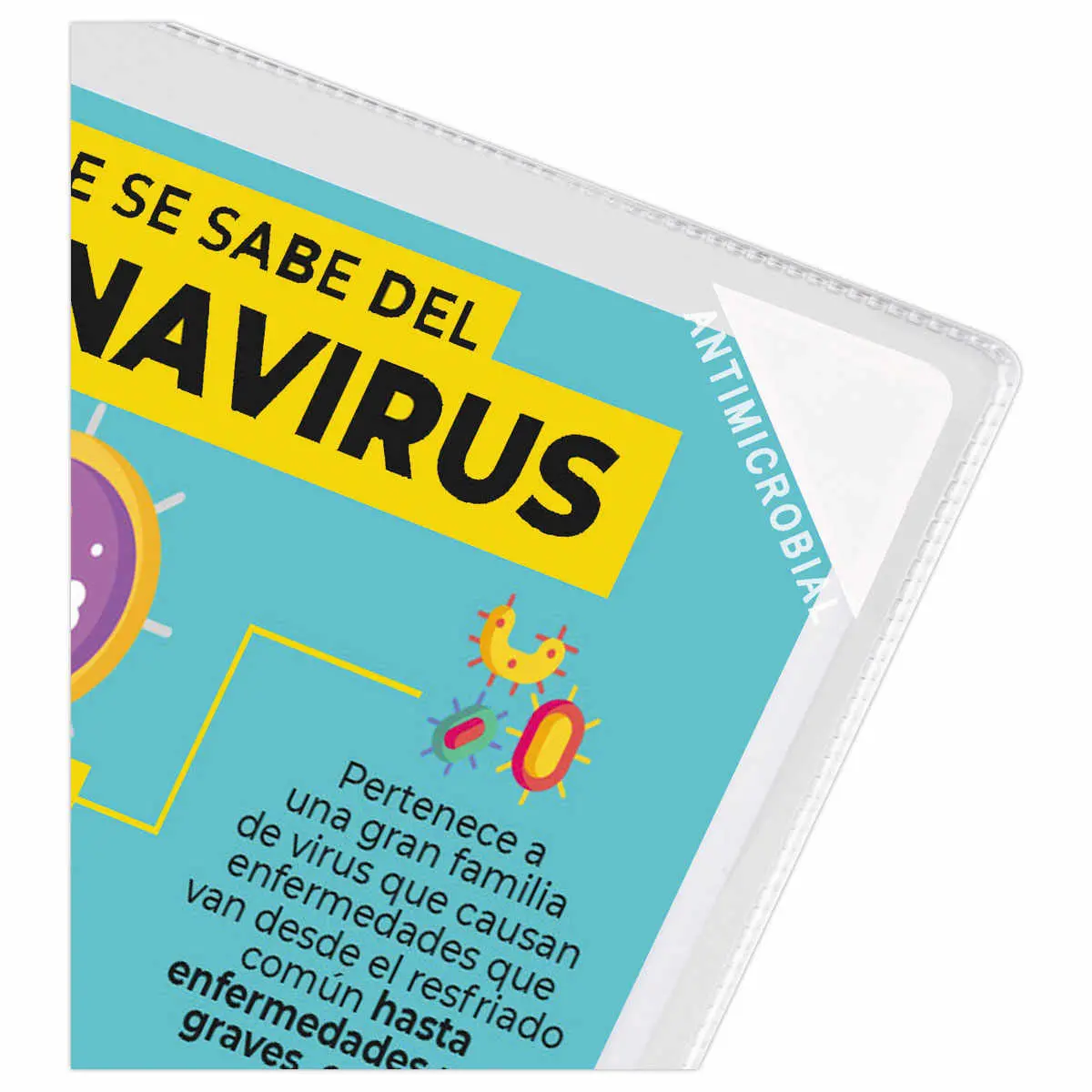 5 Pochettes d'affichage KANG EASY CLIC antimicrobiennes A4 photo du produit