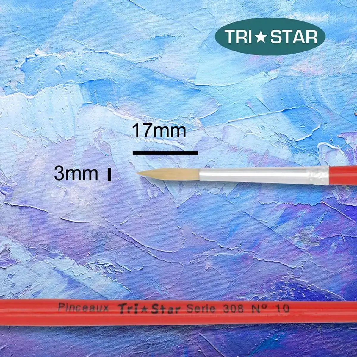 Pinceau rond pour peinture acrylique et huile - En soie - N&deg;10 - OZ International photo du produit