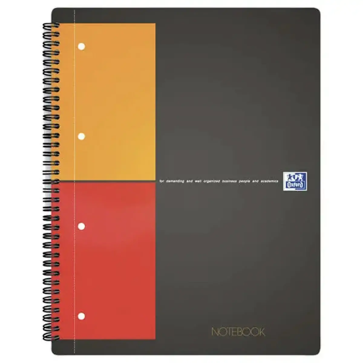 20 Cahiers A4+ Notebook OXFORD International - 5x5 - 80g photo du produit