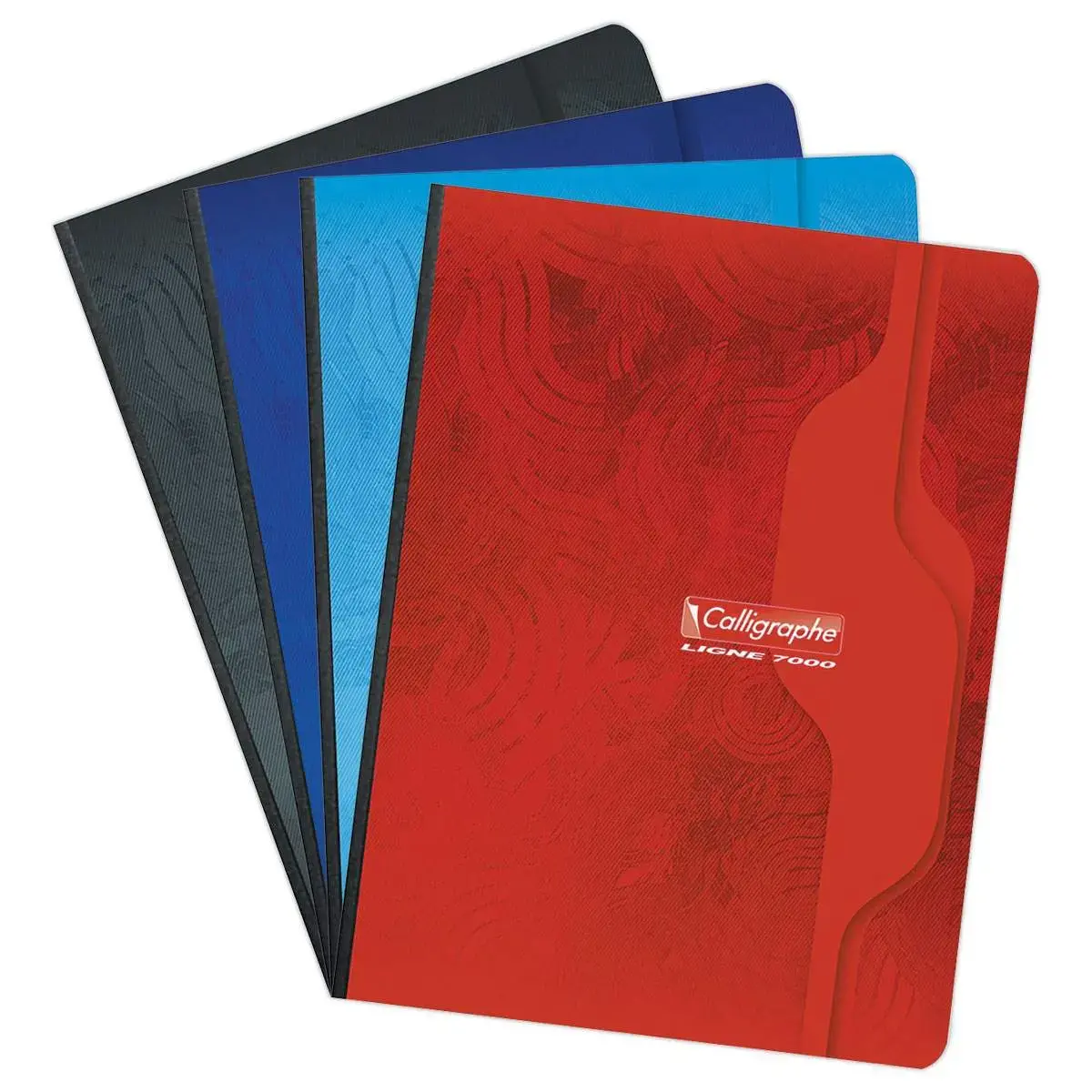 Cahier brochure  70g - 17x22cm - 5x5 -192 pages - Calligraphe photo du produit