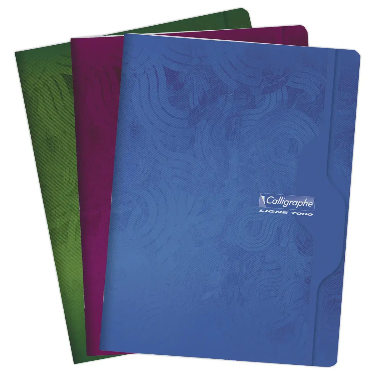 Cahier agraf&eacute; Calligraphe 70g, 24x32 cm,5x5,96 pages photo du produit