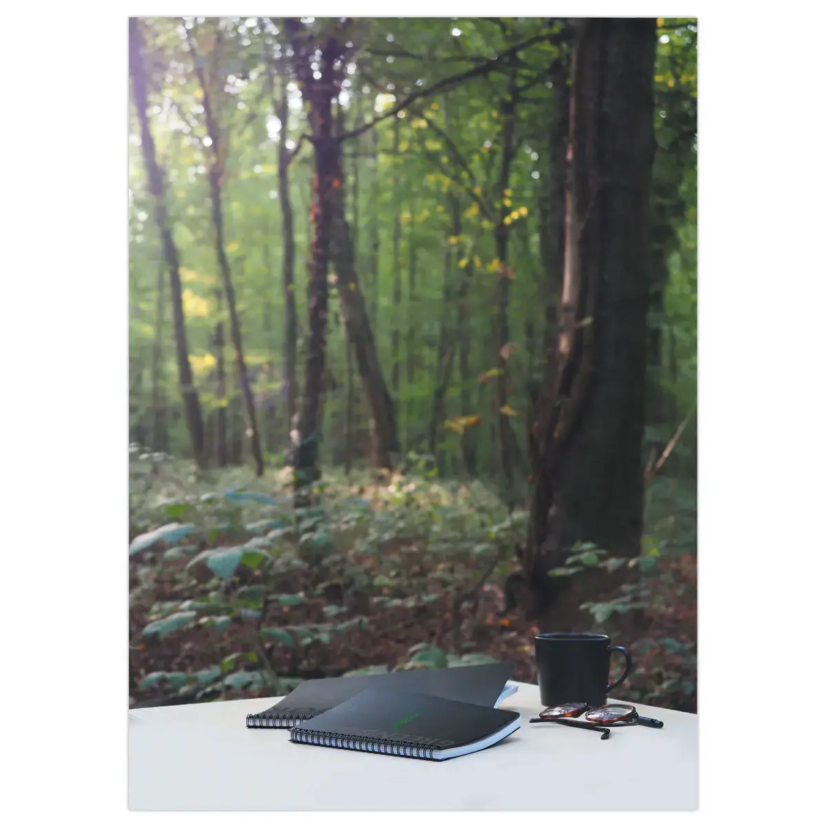 Cahier Rhodia polypropyl&egrave;ne recycl&eacute; 160 pages A4+ Lign&eacute;. Noir photo du produit