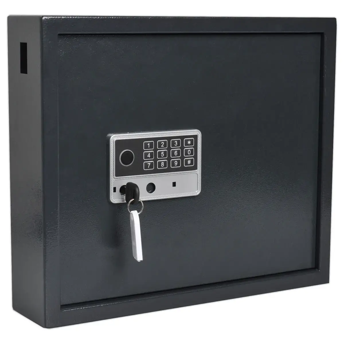 Armoire à clé haute sécurité - 50 clés - PAVO photo du produit