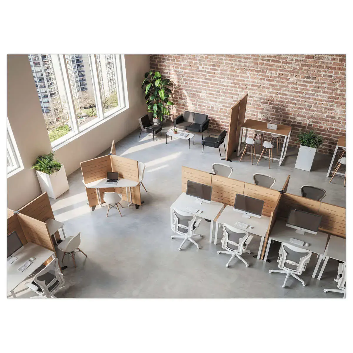 Cloison acoustique Hêtre H180cm montée photo du produit