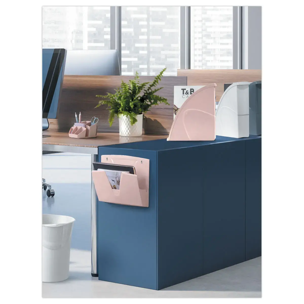 Corbeille murale magn&eacute;tique - Rose - CEP photo du produit