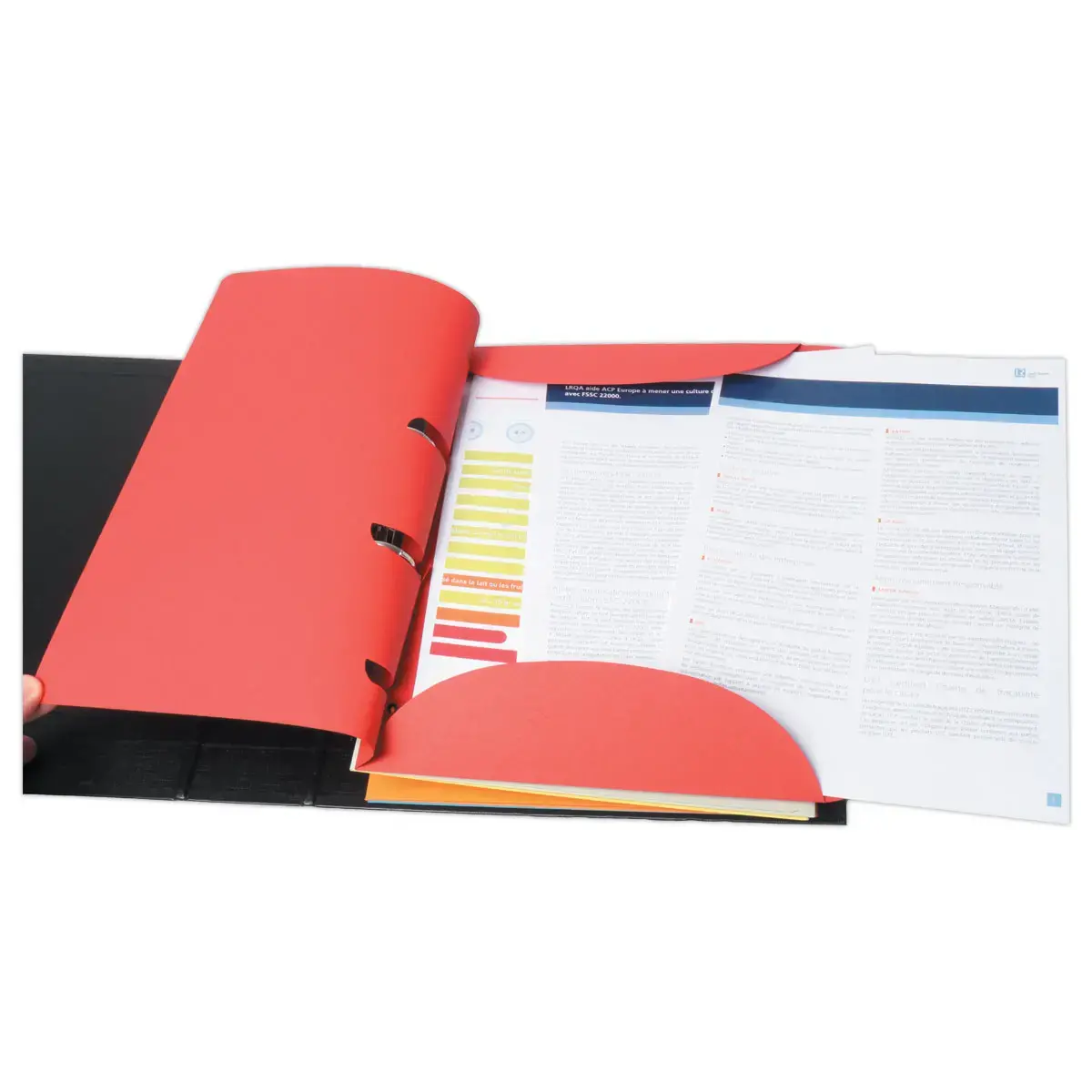 6 Chemises smartfolder tree free - Assortis photo du produit