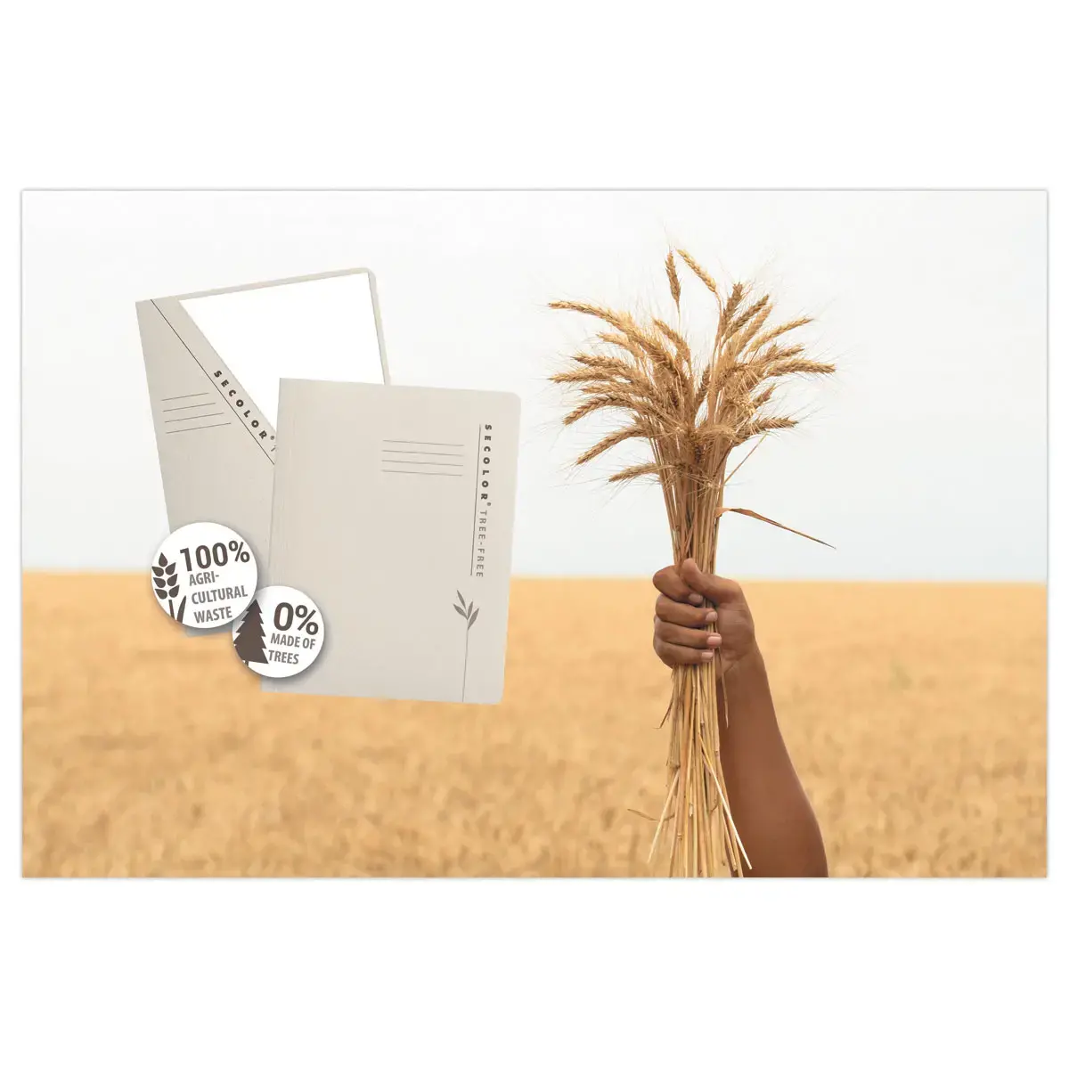 10 Chemise dossier découpée Tree Free photo du produit