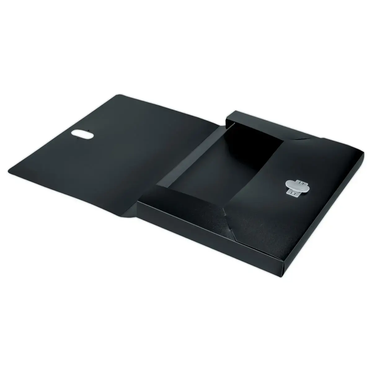 Bo&icirc;te de classement recycl&eacute; - Noir - Leitz photo du produit