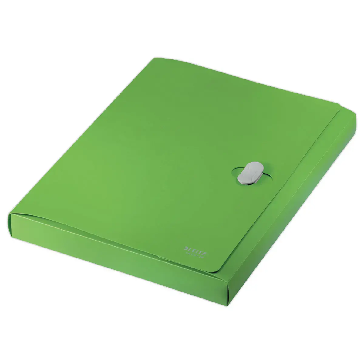Boîte de classement recyclé - vert - LEITZ photo du produit