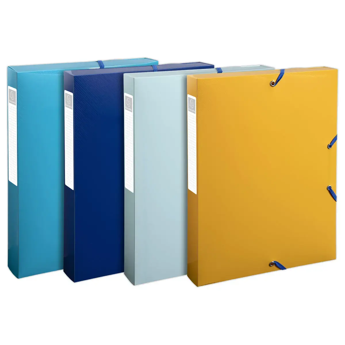 Boîte de classement PP recyclé BeeBluedos dos 4 cm - Assortis - EXACOMPTA photo du produit