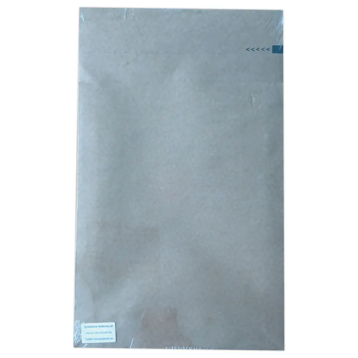 250 Pochettes r&eacute;utilisables kraft 250x350x50 120g photo du produit