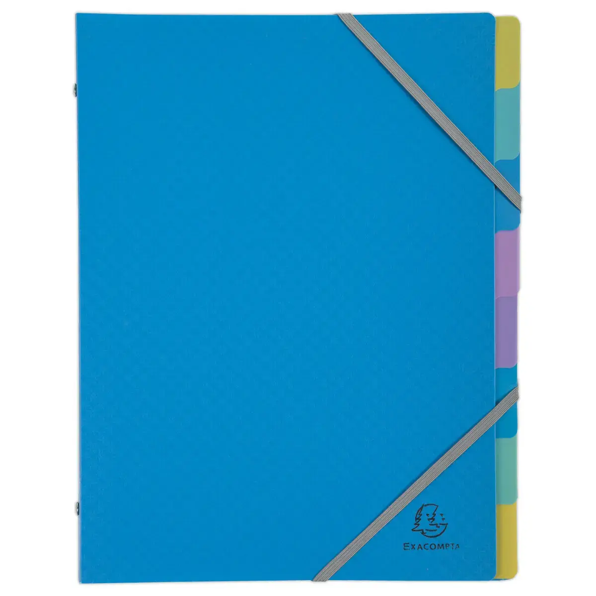 Trieur Forever Young - 8 compartiments - Assortis - EXACOMPTA photo du produit