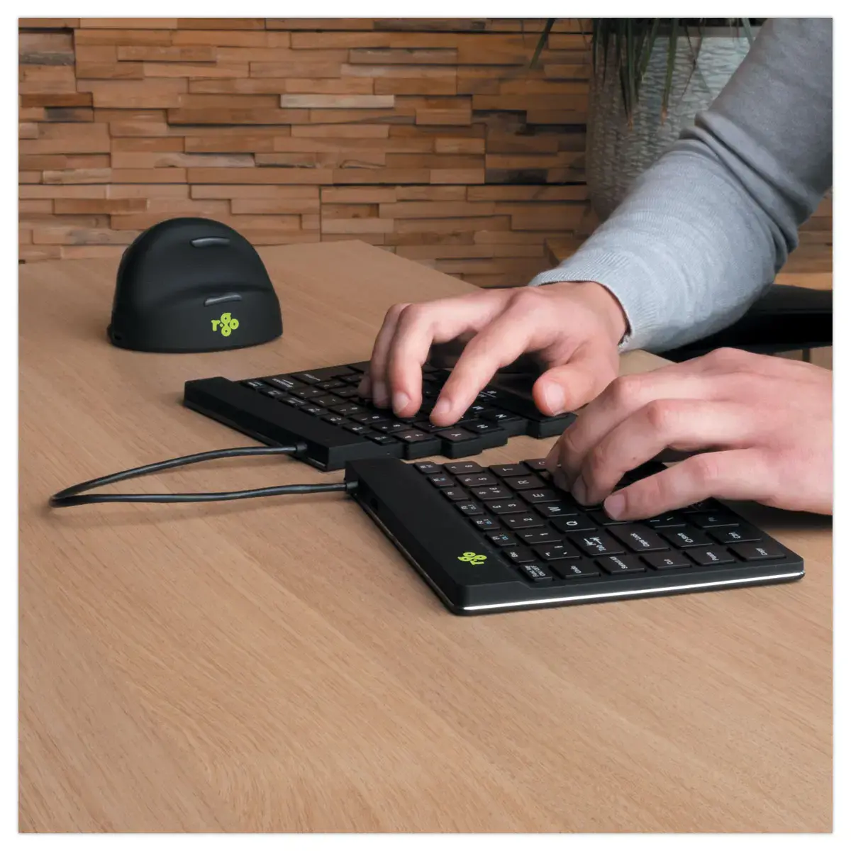 Souris ergo HE basic sans fil photo du produit