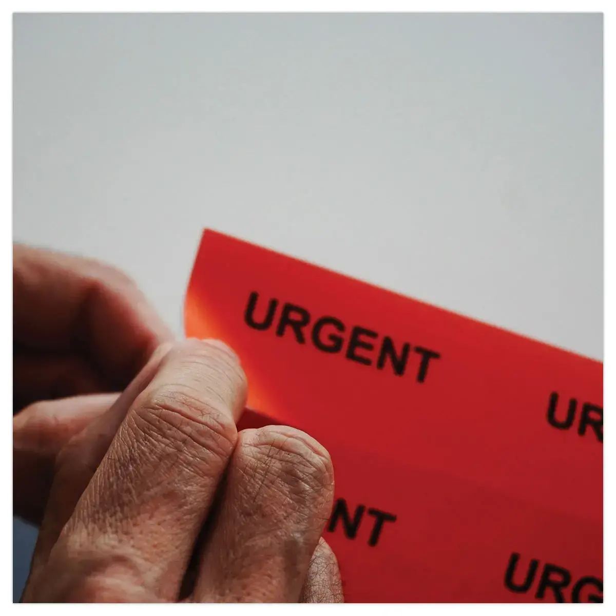 50 Planches &eacute;tiquettes L70xH37mm, 1200 &eacute;tiq/ bo&icirc;te, rouge photo du produit