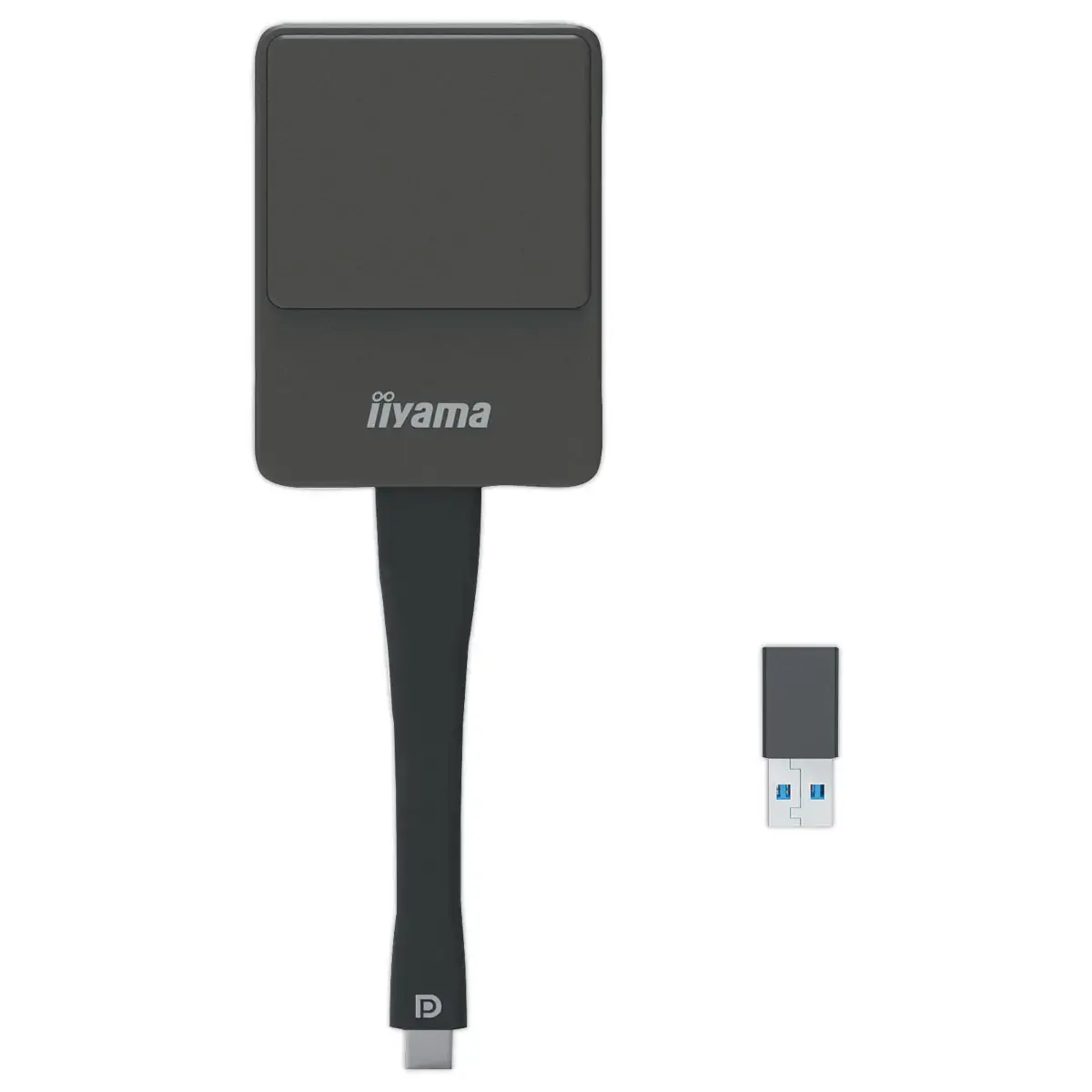 Solution de partage d'écran sans fil WP D002C - IIYAMA photo du produit