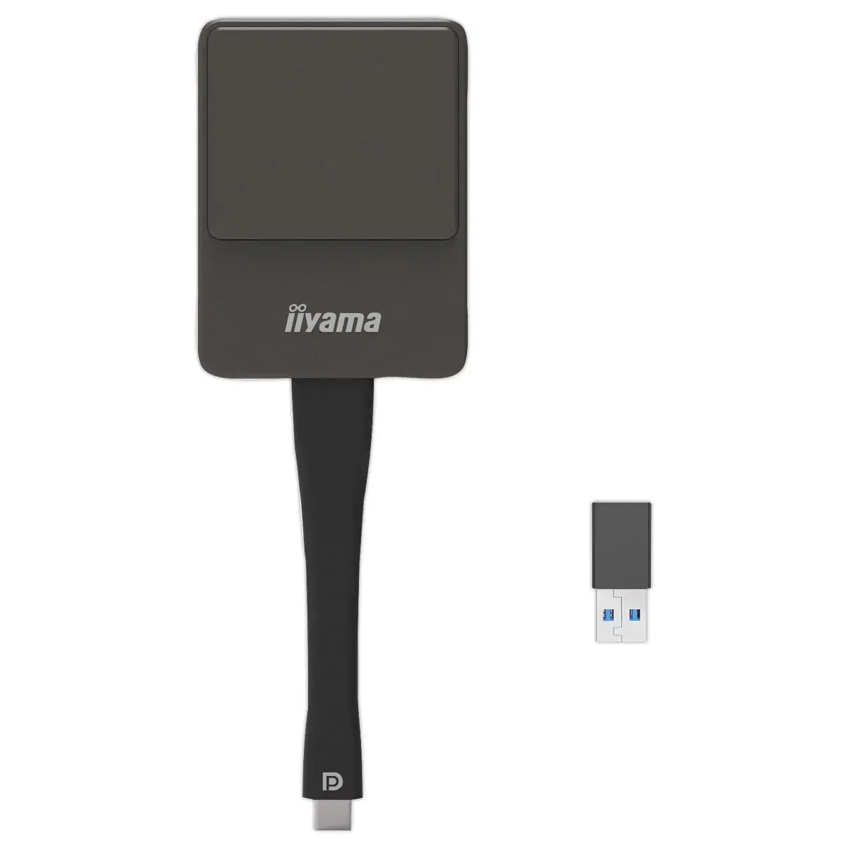 Solution de partage d'&eacute;cran sans fil WP D002C - Iiyama photo du produit