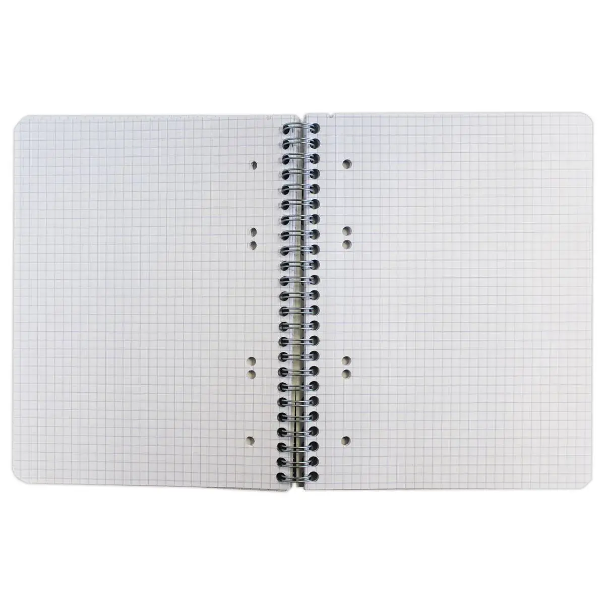 Cahier spirale  70g - A5+ 5x5 - 160 pages - FIDUCIAL photo du produit