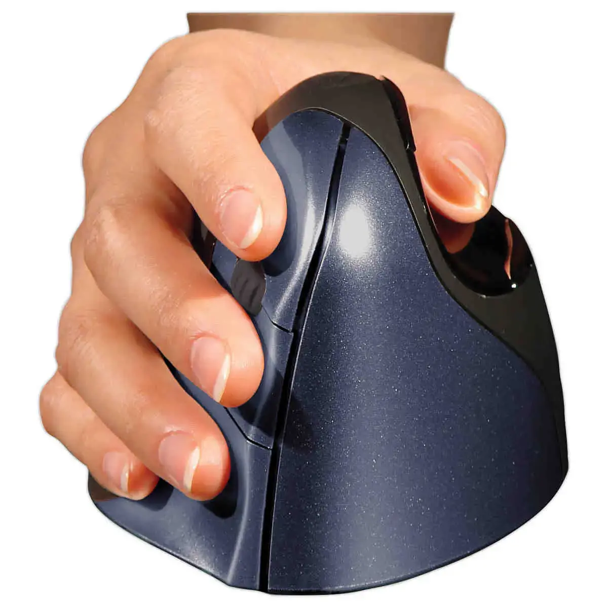 Souris ergonomique verticale sans fil Evoluent 4 droitier photo du produit