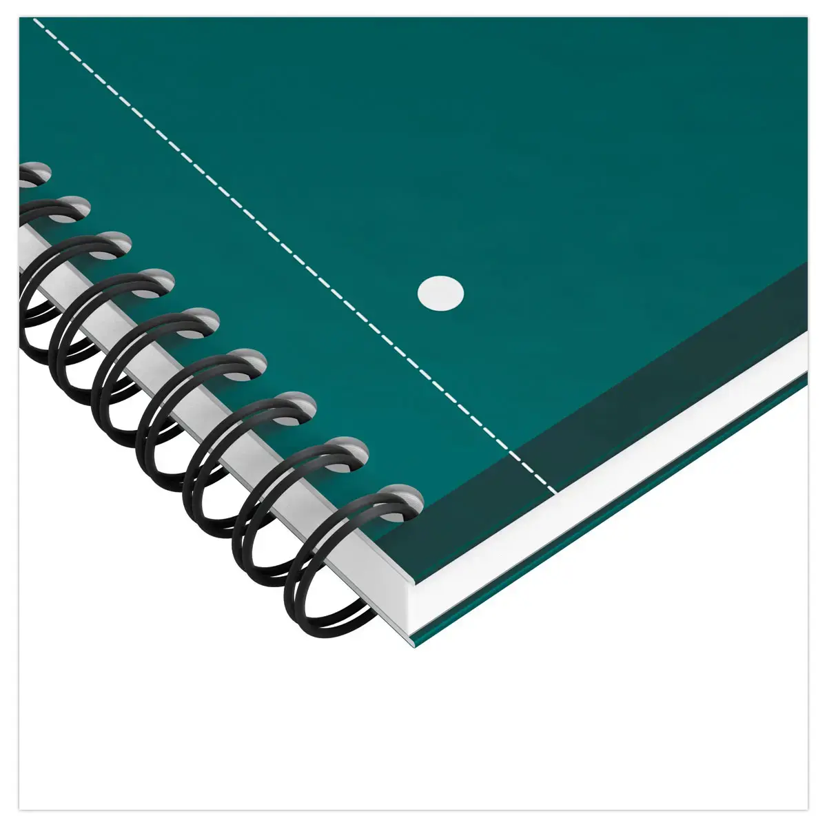 Cahier spirale Notebook A4+, 160p, 5x5, Oxford international Vert photo du produit