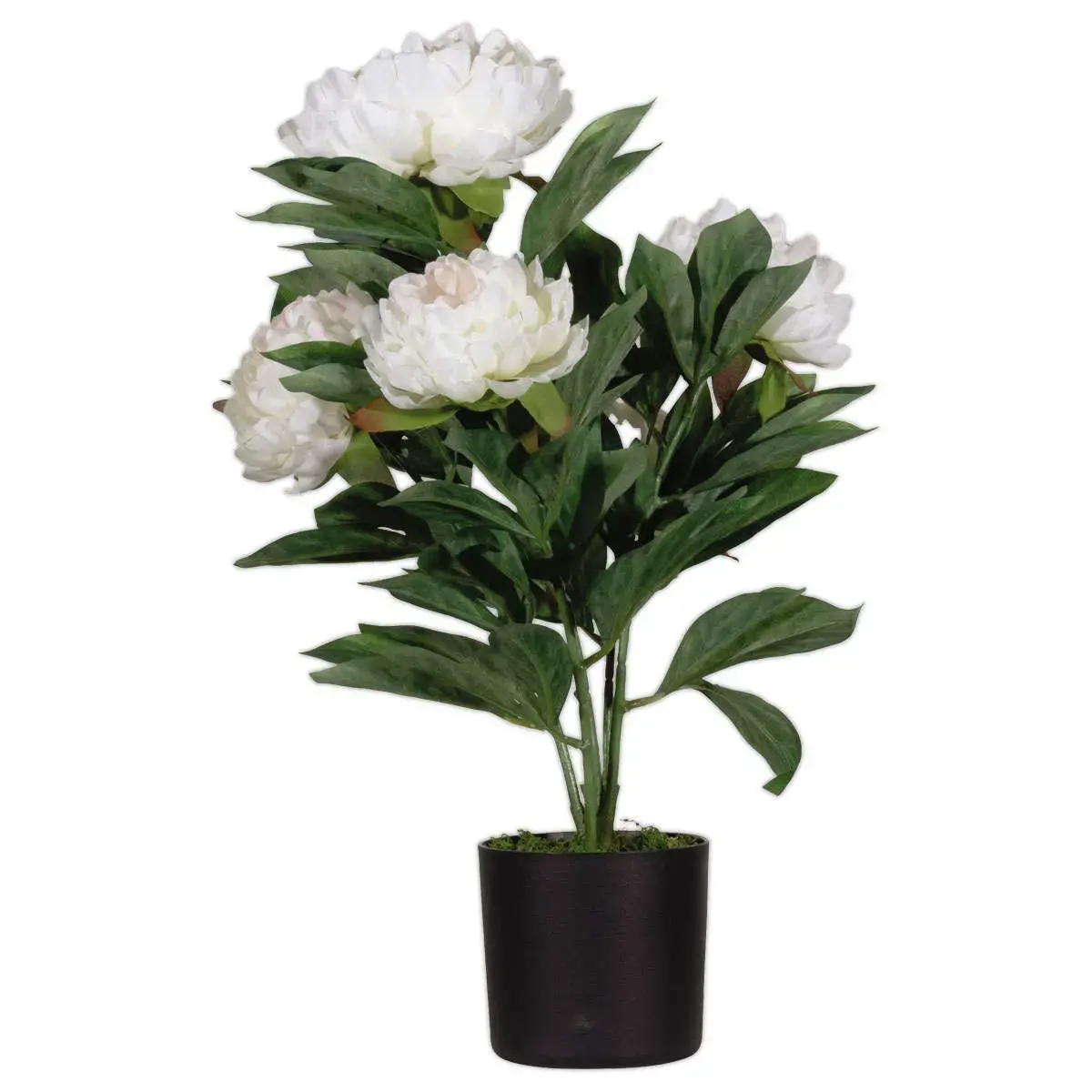 Pivoine artificelle blanche 55 cm photo du produit