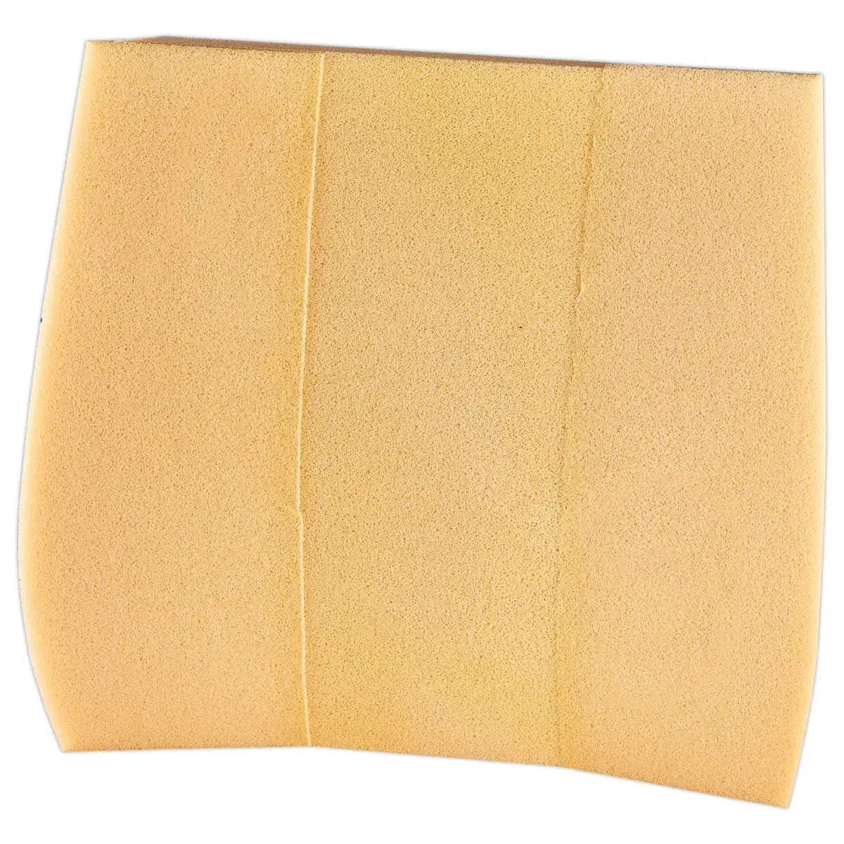 Coussin dorsal - Noir - FELLOWES photo du produit