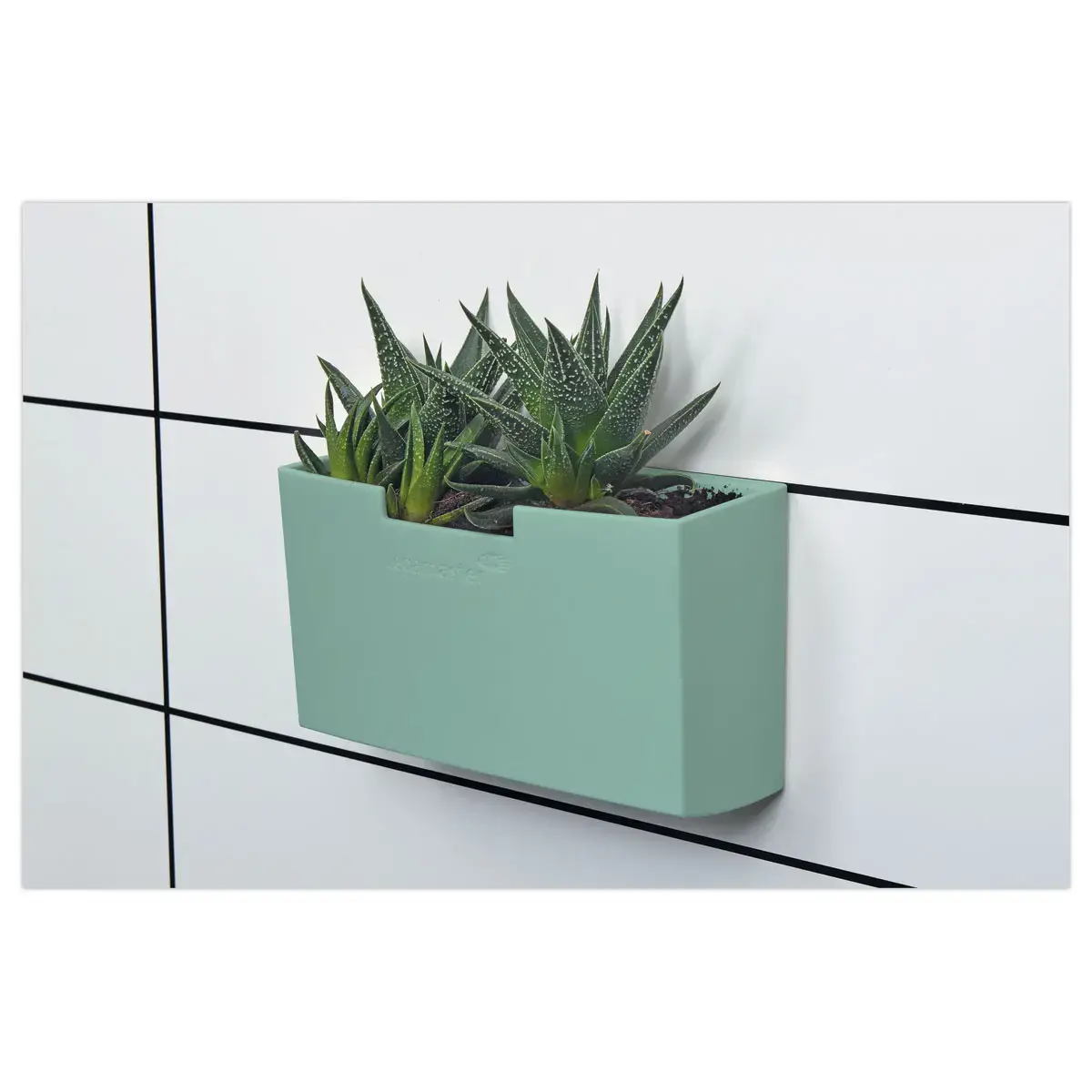 Porte-accessoires magnétique vert pour tableau blanc - LEGAMASTER photo du produit