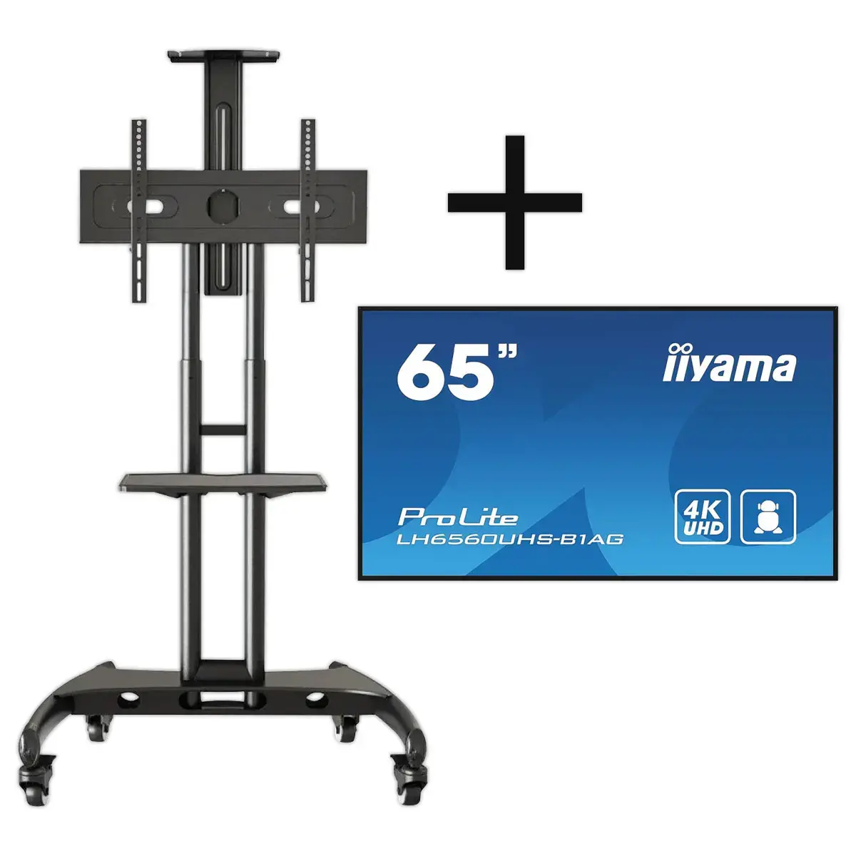 Ecran 65" Iiyama + support mobile à roulettes photo du produit
