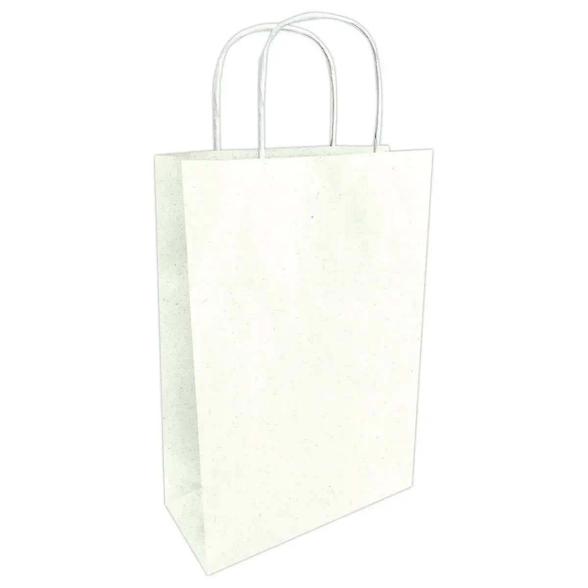 50 Sacs papier &agrave; poign&eacute;es torsad&eacute;es : 23 x 12 x 30 cm-  Blanc photo du produit