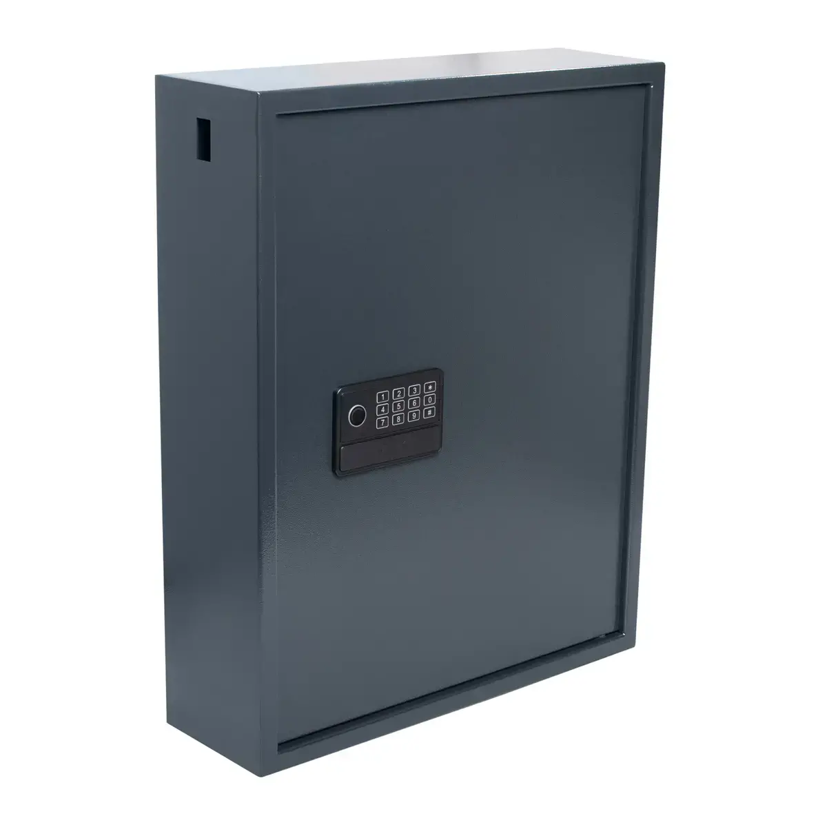 Armoire &agrave; cl&eacute; Advanced - 100 cl&eacute;s - Pavo photo du produit
