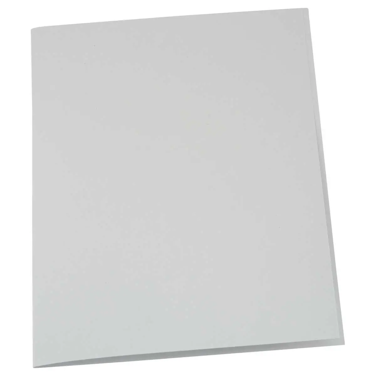 100 Chemises 220 g recycl&eacute;es - Gris - Exacompta photo du produit