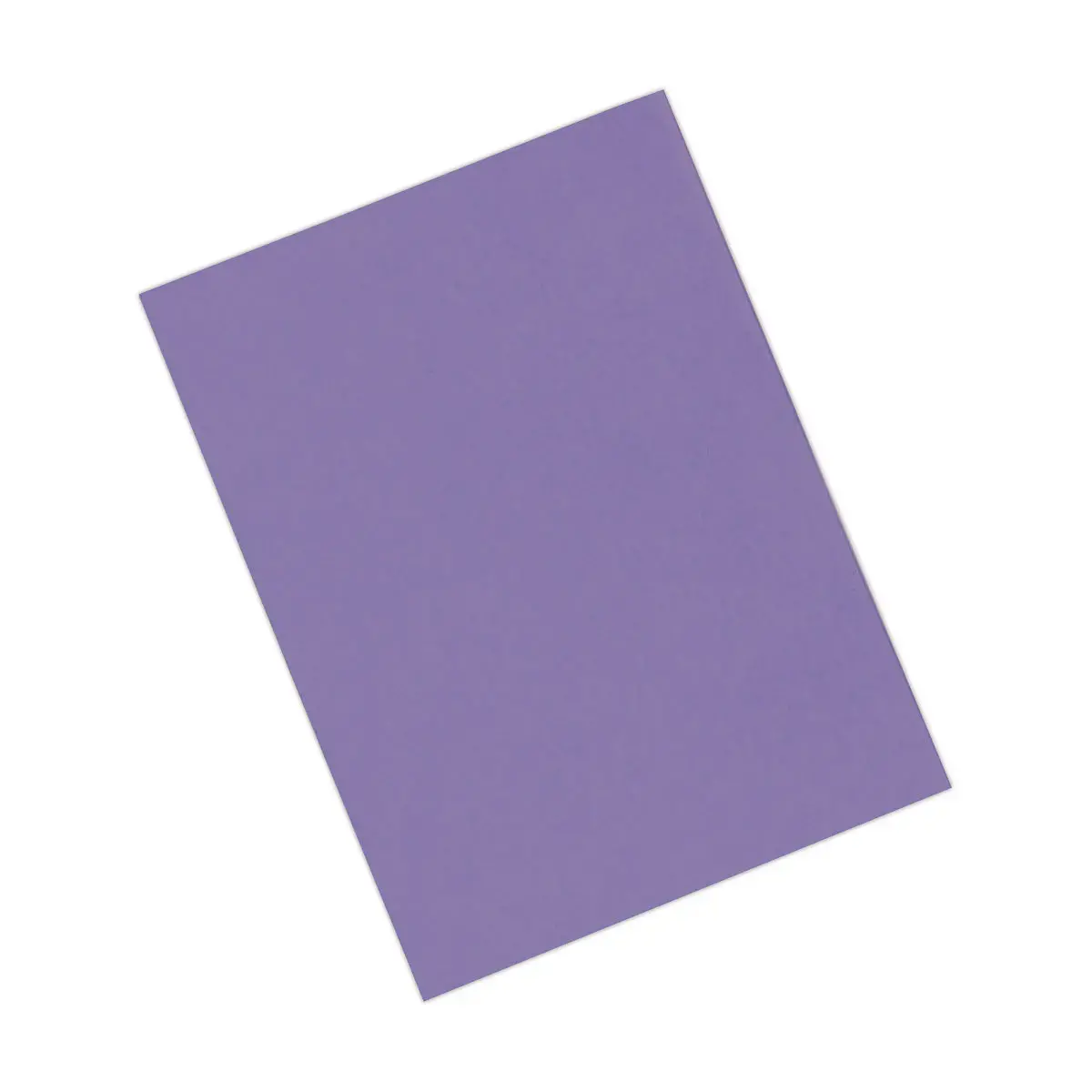 100 Chemises 220 g recycl&eacute;es - Violet - Exacompta photo du produit