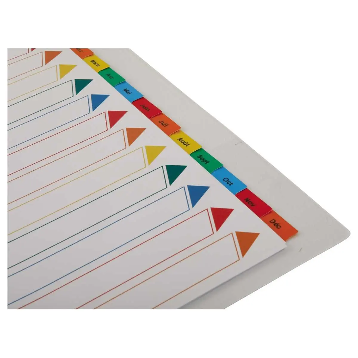 Jeu d'intercalaires mensuels 180 g - A4 - 12 onglets multicolores - FIDUCIAL photo du produit