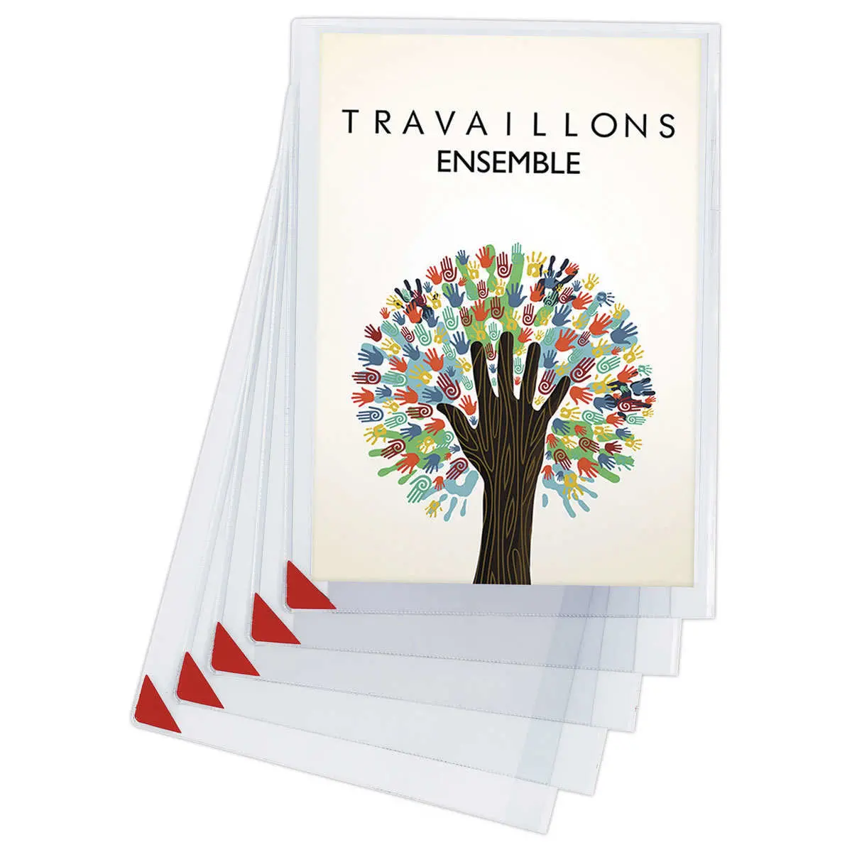 5 Pochettes d'affichage repositionnables - A4 - Tarifold photo du produit